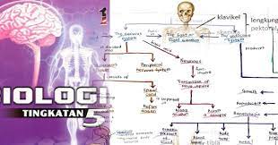 Pengenalan kepada biologi dan peraturan makmal. Nota Ringkas Biologi Tingkatan 5 Download Online Pendidikanmalaysia Com