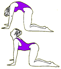Check out our rolling cow selection for the very best in unique or custom, handmade pieces from our shops. Kundalini Yoga Warm Ups Spirit Rising Yoga