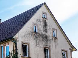Check spelling or type a new query. Degradations De Facade Causes Et Solutions Pour La Restaurer