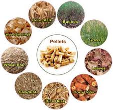 High Quality Electric Flat Die Wood Pellet Mill Make Wood Pellets From Biomass Waste Biomass Wood Pellets Pellet