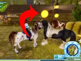 What will this new area be like. How To Play Star Stable 8 Steps With Pictures Wikihow