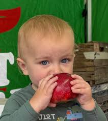 The sweet aroma of apples and tradition fills the Oak Harbor Apple Festival 