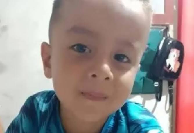 Búsqueda de Loan: la tía Laudelina confesó que el chico fue atropellado y enterrado en el monte