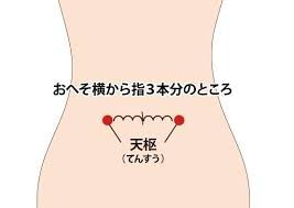 もう秋です | ブログ