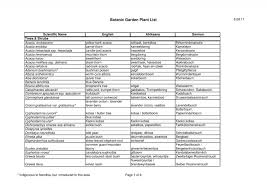 Image result for Hypertelis bowkeriana