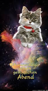 Discover and share the best gifs on tenor. Lustige Guten Abend Bilder