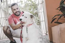 • how many times during the day will you. Vem Ser Dog Walker Com A Doghero Doghero