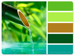 Welcome to the world of colors where you're sure to find the perfect color combination for your project. Nature Inspired Color Palettes