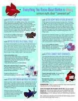 Betta Fish Temperature Setting The Ideal Water Temperature For Bettas Betta Fish Betta Fish Care Betta