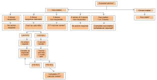 Health professionals are the single most important influence on whether individuals decide to have themselves or their children vaccinated; Hepatitis B Vaccine Canadian Immunization Guide Canada Ca