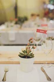 Wedding & party ideas > real weddings and parties > bohemian floral wedding inspiration > lace wedding dress. 250 Succulents Cactus Wedding Ideas Succulent Wedding Succulents Cactus Wedding
