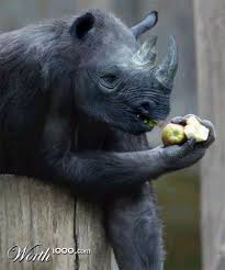 Animal Crossbreed Worth1000 Contests Photoshopped Animals Weird Animals Animal Mashups