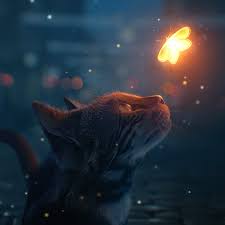 Steam Workshop Cat Looking At Glowing Butterfly Cats Fish Drawings Cat Flowers A butterfly that has a noticeable glow around its body and/or wings. cat looking at glowing butterfly