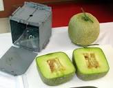 Square melons? Japan's luxury fruit masters grow money on trees ...