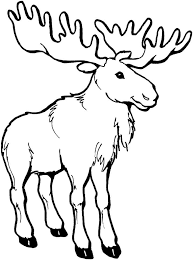Maybe you would like to learn more about one of these? Eastern Moose Coloring Page Free Printable Coloring Pages For Kids