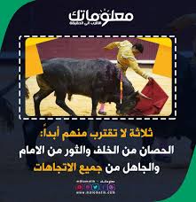 ثلاثة لا تقترب منهم أبدا Funny Cartoons Funny Cartoon