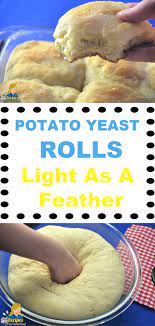 Potato Yeast Rolls Light As A Feather The Mashed Potato Gives These Yeast Rolls A Fantastic Flavor And Texture If You Yeast Rolls Recipe Recipes Yeast Rolls