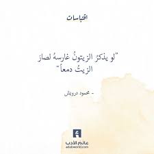 من اقوال محمود درويش good day quotes words quotes favorite book quotes