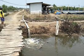 Petambak Udang Vaname Dilaporkan Ke Polres Subang Harian Pelita