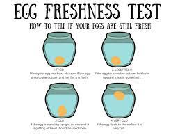 How To Tell If Your Eggs Are Still Fresh Walkerland