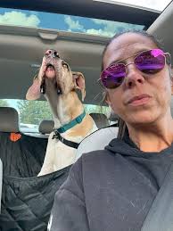 Adopting a great dane mix puppy