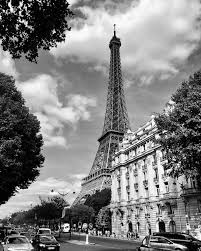 Image vectorielle de stock de fond décran noir et blanc. 1001 Photos Pour Un Fond D Ecran Noir Et Blanc Parfait Pour Vous Photo Noir Et Blanc Paysage Paysage Noir Et Blanc Ecran Noir Et Blanc
