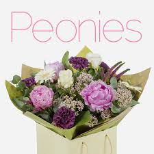 Who delivers flowers to ireland. Peony Flower Delivery In Ireland