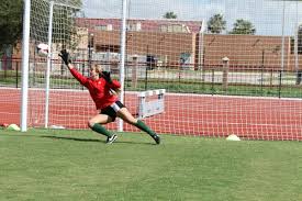 Pin On Utpa Sports