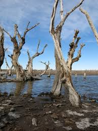 25 years later the waters have finally receded, revealing. Epecuen Geflutete Geisterstadt Weitweitweg In
