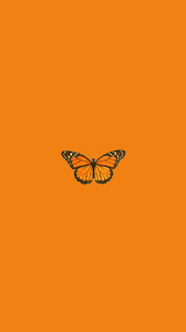 Check spelling or type a new query. Schmetterling Wallpaper Butterfly Aesthetic Trendy Wallapaper Orange Aesthetic Orange Wallpaper Butterfly Wallpaper