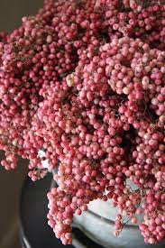 Pepper Berry Can Be Found In Varying Shades Of Reds Greens Blue Blacks Pepper Tree Berries Beautiful Flowers