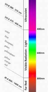 Check spelling or type a new query. How Do Led Grow Lights Work Valoya Led Grow Lights