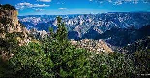 Copper canyon is a group of six distinct canyons in the sierra madre occidental in the southwestern part of the state of chihuahua in northw. Copper Canyon Archives Nomadwomen