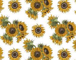 Sunflower Png Eps Jpg Seamless Pattern Sunflower Digital Etsy Sunflower Png Seamless Patterns Digital Paper