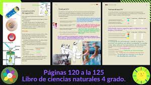 1251 palabras | 6 páginas. Paginas 120 A La 125 Libro De Ciencias Naturales 4 Grado Youtube