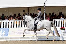 Britt geertruida dekker (purmerend, 24 februari 1992) is een nederlandse presentatrice, actrice en mediapersoonlijkheid. Britt Dekker Ik Hoef Geen Geld Geef Me Maar Een Paard Horses Nl