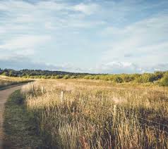 50 Surprisingly Creative Uses For Vacant Land Retipster