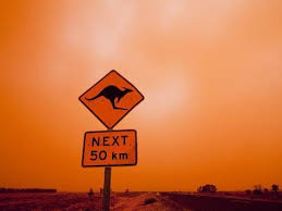 Black And White Striped Road Sign Australia Kangaroo Crossing Road Sign Outback Dust Storm Rural Highway Ivanhoe New South Wales Australia Photographic Print By Paul Souders In 2020 New South Wales Ivanhoe Dust Storm
