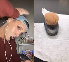 #duet with @themicroguy #Science