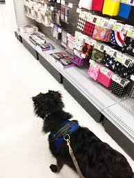 Some pet stores sell animals or participate in pet adoption programs. Dog Friendly Stores 100 Stores To Shop With Your Dog