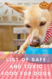 Pin On Can Dogs Eat