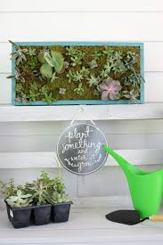 Check spelling or type a new query. Vertical Succulent Garden Refresh Restyle