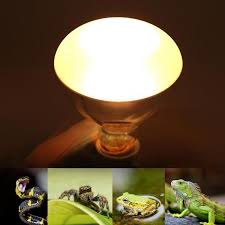 75 120w Uva Uvb Reptile Lamp Bulb Turtle Basking Uv Light Bulbs Heatin Home Decor