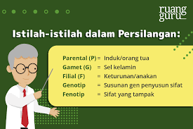 Mendel mengambil serbuk sari dari bunga tanaman yang bijinya berlekuk (berkerut) dan diserbukkan pada putik dari bunga tanaman yang. Persilangan Monohibrid Dan Dihibrid Pada Hukum Mendel Biologi Kelas 12