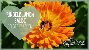 Wasser dazugeben und 1 sekunde/stufe 4 verrühren. Ringelblumen Salbe Lippen Balsam Thermomix Tm5 Tm6 Youtube