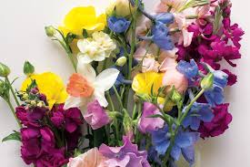 Save money by sending flowers directly with a local florist. Gift Alert Flowers That Keep On Giving Arlington Magazine
