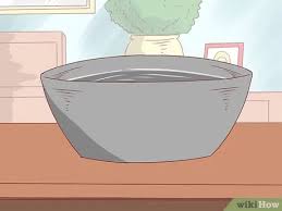 When the aging strikes, the first or probably the most prominent sign is the slackening of skin, which mostly all women at the age of 40 or above come across. 6 Ways To Get Rid Of Acne Without Using Medication Wikihow