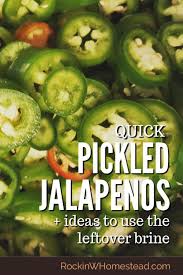 Quick Pickled Jalapenos How To Use The Juice Rockin W Homestead Pickling Jalapenos Pickles Jalapeno