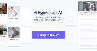 Screenshot of Hypotenuse AI