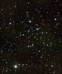 Image result for m91 galaxy